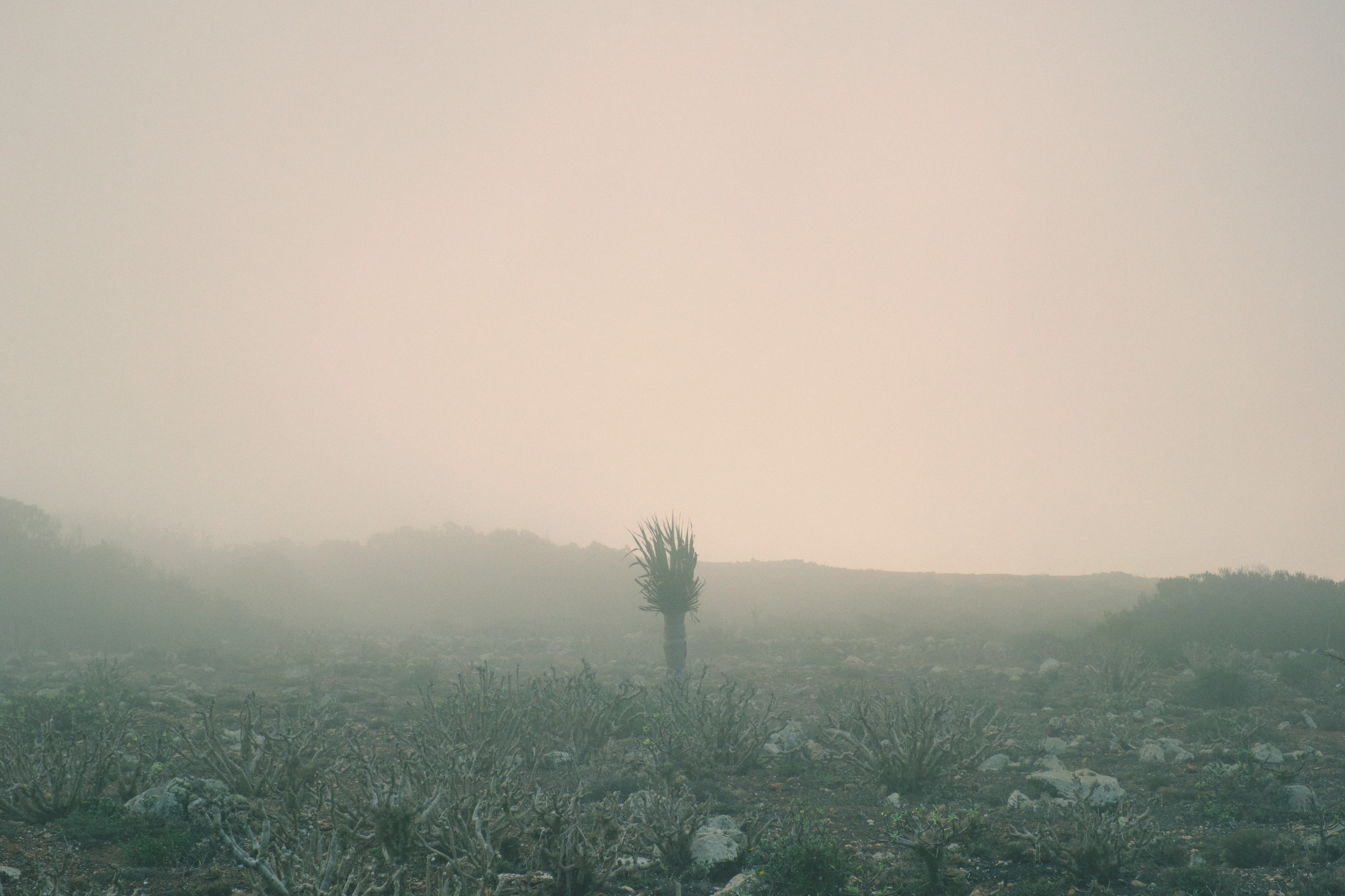 Selected photograph by Zheng Zhu